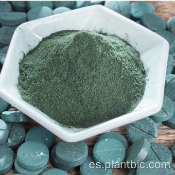 Polvo de espirulina pura de grado alimenticio orgánico